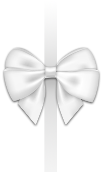 Holiday Bow