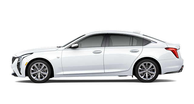 Image of Luxury model